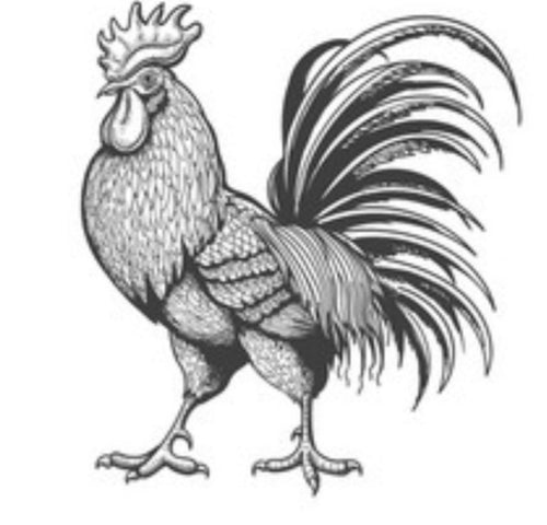 Pashol.gallery gift card