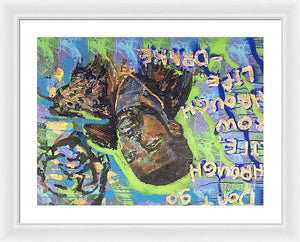 Drake - Framed Print